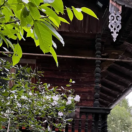 Versteckte Nest